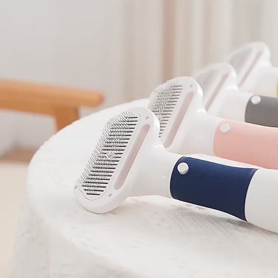 3 in 1, 600W Pet Hair Dryer, Hair Removal Blowing Combs